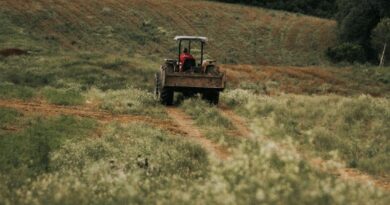 Agro do RS exporta US$ 3,2 bi no 1º trimestre de 2026